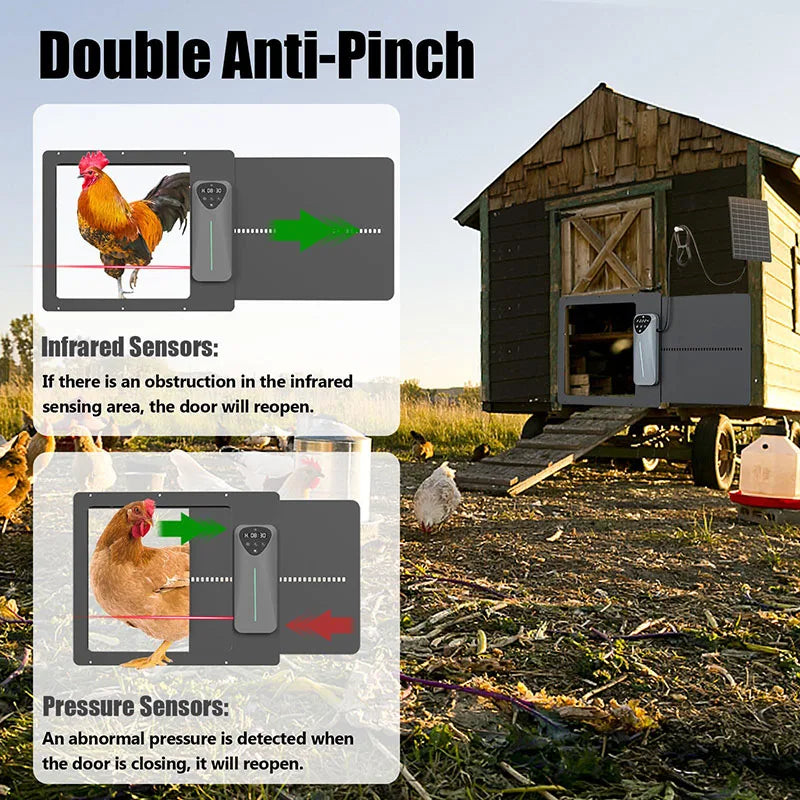 Automatic chicken coop door dimensions and features