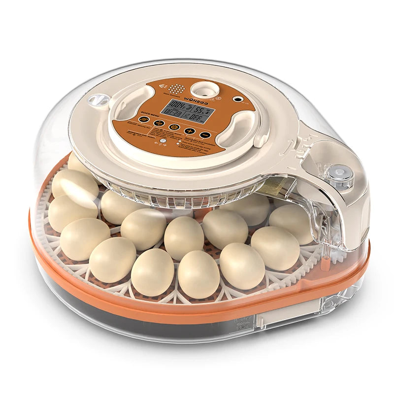Morning Cluck smart egg incubator with 26 eggs and voice control panel