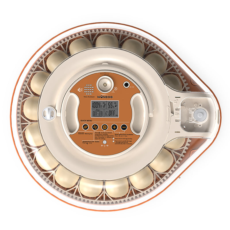 Morning Cluck Smart Egg Incubator — 26 Eggs, Voice Guided